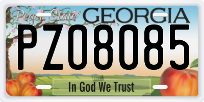 GA license plate PZO8085