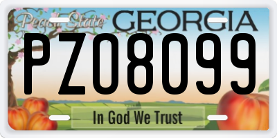GA license plate PZO8099