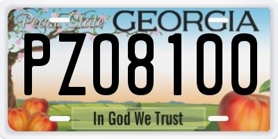 GA license plate PZO8100