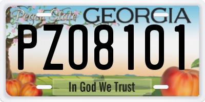 GA license plate PZO8101