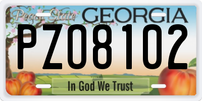 GA license plate PZO8102