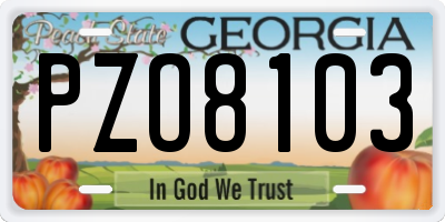 GA license plate PZO8103