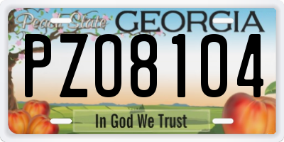 GA license plate PZO8104