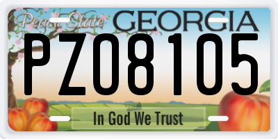 GA license plate PZO8105