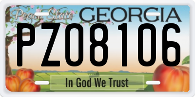 GA license plate PZO8106