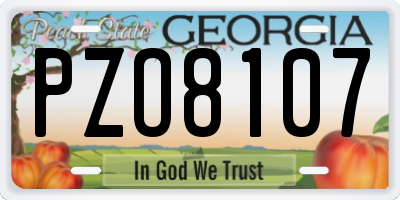 GA license plate PZO8107