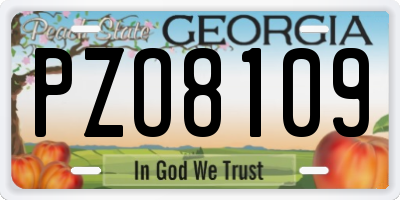 GA license plate PZO8109