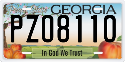 GA license plate PZO8110