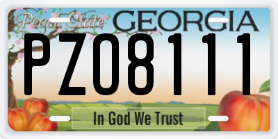 GA license plate PZO8111