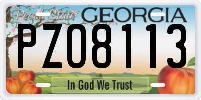 GA license plate PZO8113