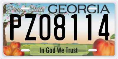 GA license plate PZO8114