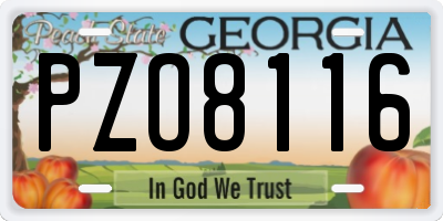 GA license plate PZO8116