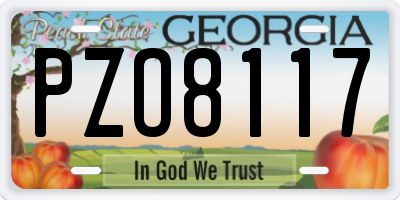 GA license plate PZO8117