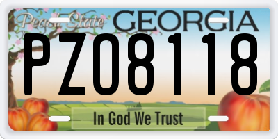 GA license plate PZO8118