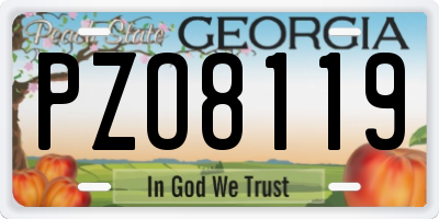 GA license plate PZO8119