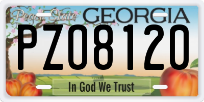 GA license plate PZO8120