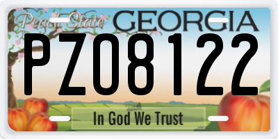 GA license plate PZO8122