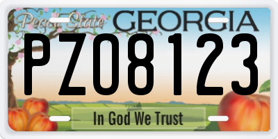 GA license plate PZO8123