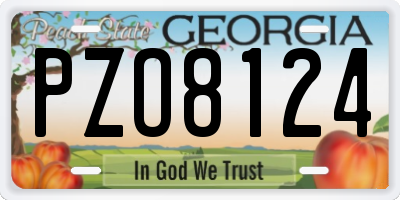 GA license plate PZO8124