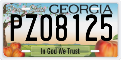 GA license plate PZO8125