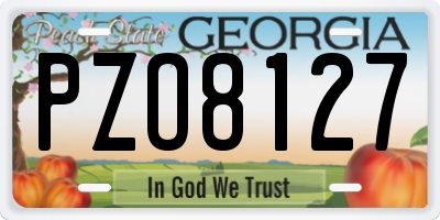 GA license plate PZO8127