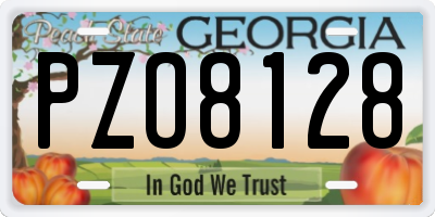 GA license plate PZO8128