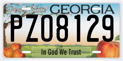 GA license plate PZO8129