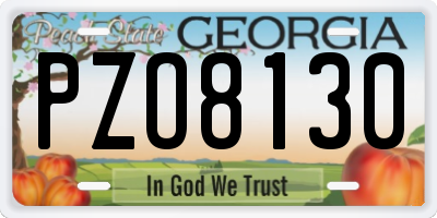 GA license plate PZO8130