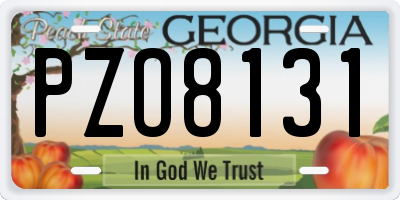 GA license plate PZO8131