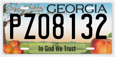 GA license plate PZO8132