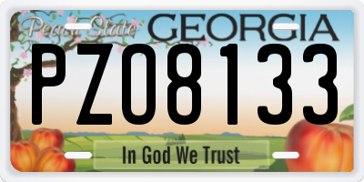 GA license plate PZO8133