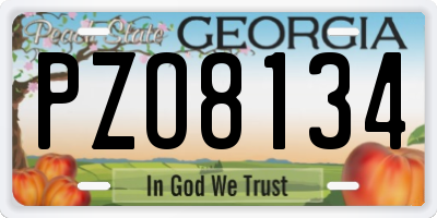 GA license plate PZO8134