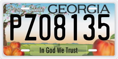 GA license plate PZO8135