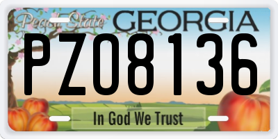 GA license plate PZO8136