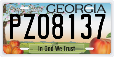 GA license plate PZO8137