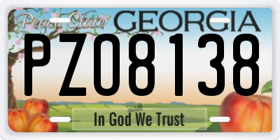 GA license plate PZO8138