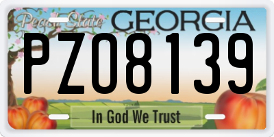 GA license plate PZO8139