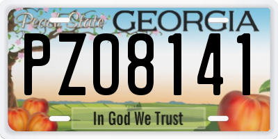 GA license plate PZO8141