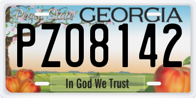 GA license plate PZO8142