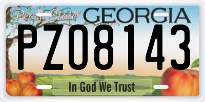 GA license plate PZO8143