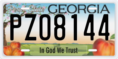 GA license plate PZO8144