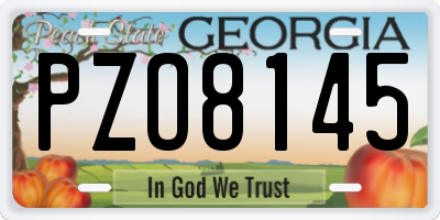 GA license plate PZO8145