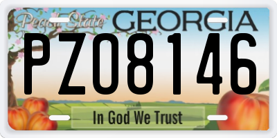 GA license plate PZO8146