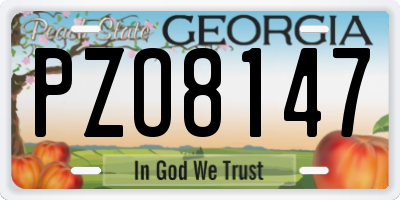 GA license plate PZO8147