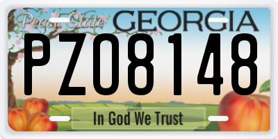 GA license plate PZO8148