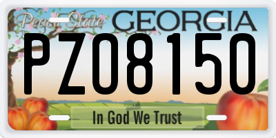 GA license plate PZO8150