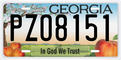 GA license plate PZO8151