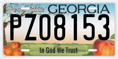 GA license plate PZO8153