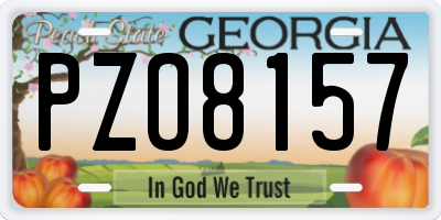 GA license plate PZO8157