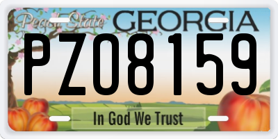 GA license plate PZO8159